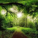 ���� Yulia, ������, 60 ��� - ��������� 31 ������� 2015 � ������ ��������