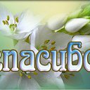 ���� �������, �������������-����������, 62 ���� - ��������� 8 �������� 2015 � ������ �������� ��������