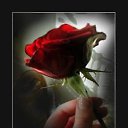 ���� ������, ���, 67 ��� - ��������� 16 ������� 2015 � ������ �������� ��������