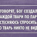 ���� �����, ������, 41 ��� - ��������� 16 ������� 2015 � ������ ���� ����������