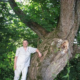 ���� ��������, ������, 53 ���� - ��������� 24 ���� 2015