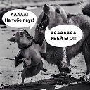 ���� �������, �����-��������� - ��������� 30 ���� 2015 � ������ ������ ��������