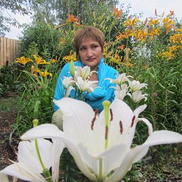 ���� �����, ��������, 68 ��� - ��������� 21 ���� 2015