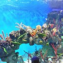 ���� ��������, ������ - ��������� 29 ������� 2015 � ������ ������ ��������