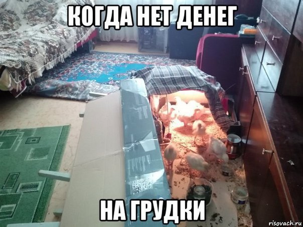  -   - 20  2015  11:55
