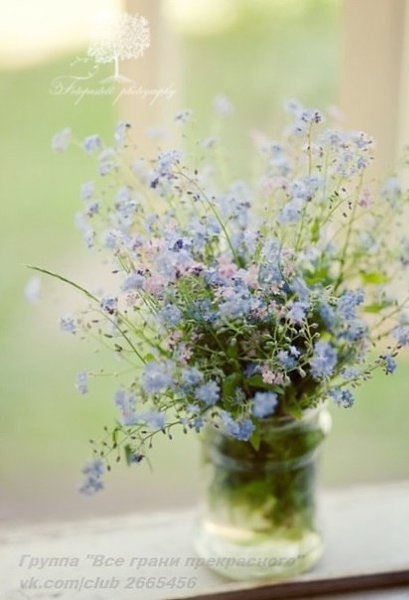 Когда человек становится родным, ты не воспринимаешь его как собрание плюсов и минусов. Он для тебя ... - 3