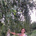 ���� Alfira, ���, 65 ��� - ��������� 2 �������� 2015 � ������ ���� ����������