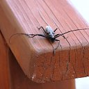 ����! �� ������� ���� ����������