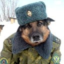 ���� Pavel, ������ - ��������� 15 ���� 2015 � ������ ������ ��������