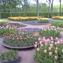 ���� ���������, �����-���������, 69 ��� - ��������� 4 ���� 2015 � ������ ��������� 24.05.2015�