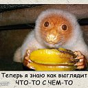 ���� �����, ����, 48 ��� - ��������� 13 ��� 2015 � ������ ������ ��������
