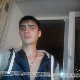 �����, �����������, 33 ����