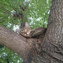 ���� ������, �����-����� - ��������� 25 ���� 2015 � ������ ������ ��������