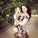 ���� �����, ������ - ��������� 3 ������� 2015 � ������ ���� ����������