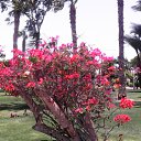 ���� �����, �����-���������, 68 ��� - ��������� 23 ���� 2015 � ������ �������� 2015�