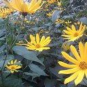 ������ �������...����� ����� ������ �������! �� ������� ���� ����������