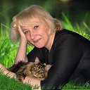 ���� ������ �������, ������, 64 ���� - ��������� 21 ��� 2015 � ������ ���