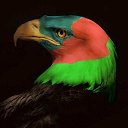 ���� �����, �����-���������, 44 ���� - ��������� 17 ������� 2015