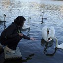 ���� ������, ����������, 59 ��� - ��������� 6 ��� 2015 � ������ ���� ����������