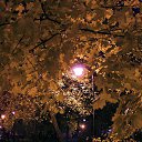 ���� ����@, ������ - ��������� 13 �������� 2015 � ������ ������ ��������