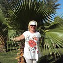 ���� �������, ������������, 61 ��� - ��������� 22 ������� 2015