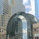 NEW YORK �� ������� ���� ����������