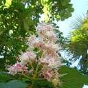  , , 60  -  19  2015     17.05.15.