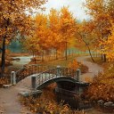  ,  -  8  2015     (Evgeny Lushpin)