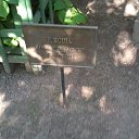  , - -  27  2015   &quot; &quot;  .