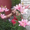 ��� �. ���� 2015�. �� ������� ���� ����������