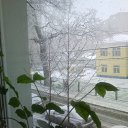 ���� ������, �����-��������� - ��������� 22 ������ 2015 � ������ ������ ��������