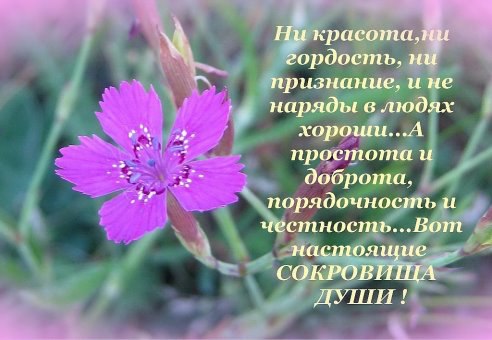 ~Dasha~ - 1  2015  23:51