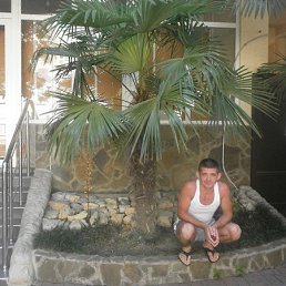 ����, ������-��-����, 36 ���