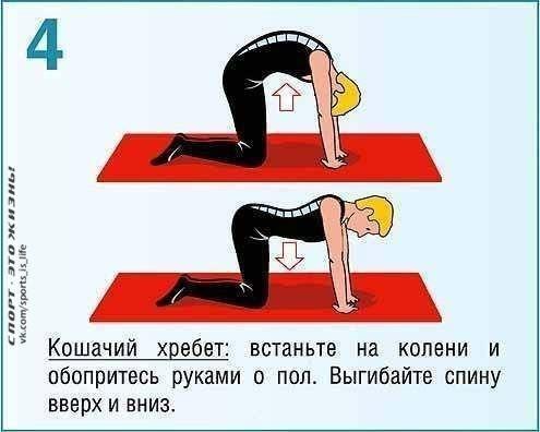 ������ ������ ��� �����? 8 ������, ����� ������ � ������ ������. 1. ������� ������ �������� ... - 4