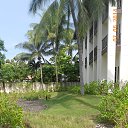    -  ,  -  4  2015    2014.  Ibis.  7-.