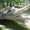    -  ,  -  30  2015   .  2015.   .  3-.