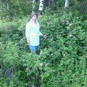 ���� �������, ������������ - ��������� 29 ������� 2015 � ������ ���� ����������