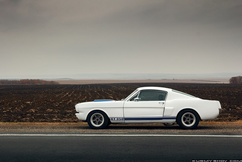 Ford Mustang Shelby GT350 - 6