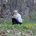 ���� �����, ���������� �����, 62 ���� - ��������� 11 ��� 2015 � ������ ���� ����������