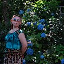 ���� �����, ���������, 50 ��� - ��������� 7 ���� 2015 � ������ ���� ����������