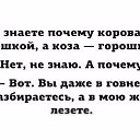  , --, 56  -  5  2015    