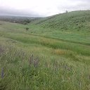 ���� ������, ���������, 53 ���� - ��������� 31 ��� 2015 � ������ ���� ����������