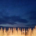 ���� ����, ������, 45 ��� - ��������� 17 ���� 2015 � ������ ���� ����������