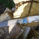 ���� �������, ��������, 43 ���� - ��������� 31 ���� 2015 � ������ ���� ����������