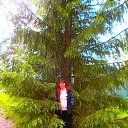 ���� �����, ���������, 59 ��� - ��������� 23 ���� 2015 � ������ �������