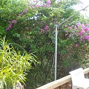    -  ,  -  4  2015    2014.  .  6-.