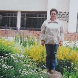 ���� ����, �������� - ��������� 8 ��� 2015