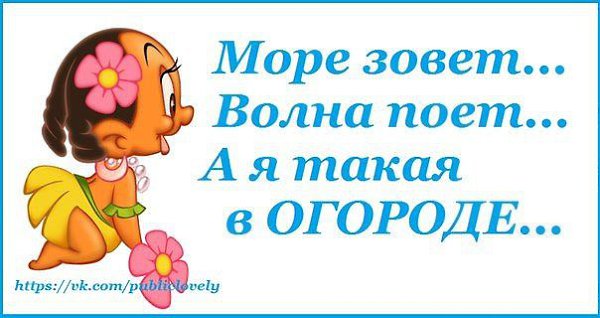���� - 17 ��� 2015 � 02:06