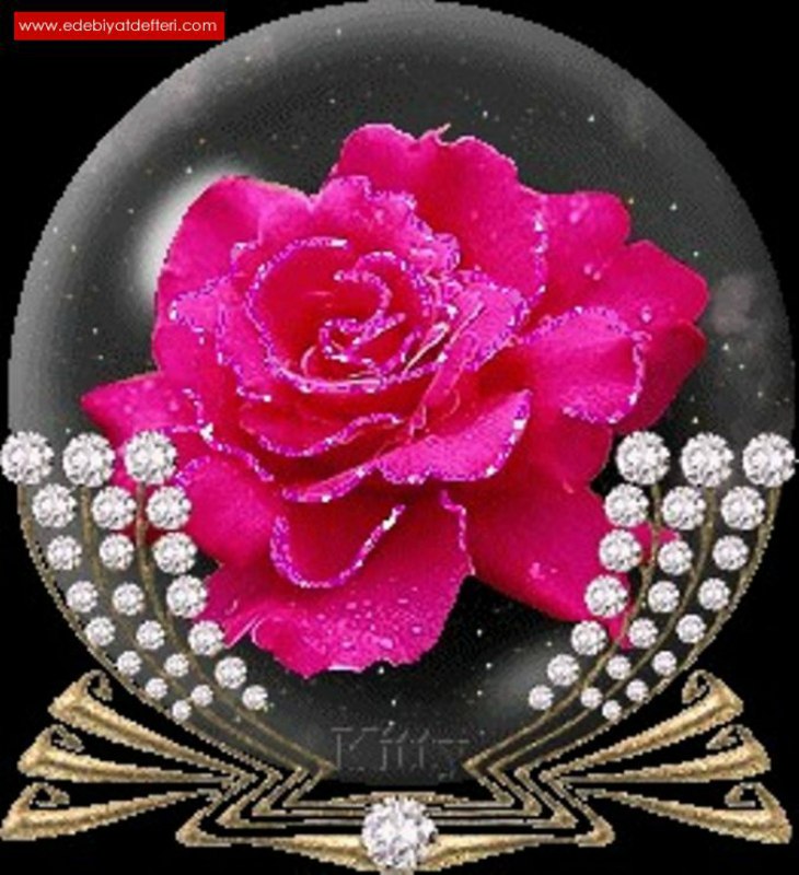   .   !   ,  ,     ,  ...