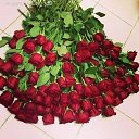 ���� ������, ���������, 62 ���� - ��������� 5 ���� 2015 � ������ �������